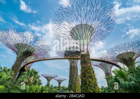 Singapour - 10 FÉVRIER 2017 : Singapore Supertrees dans le jardin près de la baie sous le ciel bleu à Bay South Singapore. Paysage urbain et horizon de la ville à Singapour Banque D'Images
