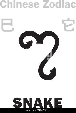 Astrologie Alphabet: Serpent [它] signe du zodiaque chinois. Caractère chinois, signe hiéroglyphique (symbole). Illustration de Vecteur