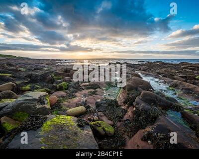 Crépuscule coucher de soleil, l'Ecosse du Nord et Le Stroma. Le littoral accidenté de John O'Groats lors d'une soirée dousoyeuse avec l'île De Stroma au loin. Banque D'Images