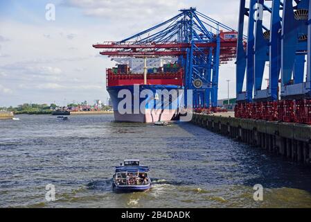 Europe, Allemagne, ville hanséatique de Hambourg, Elbe, port, terminal de conteneur Tollerort, navire à conteneurs Cosco Shipping Virgo sur le quai, Banque D'Images