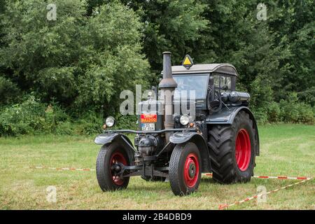 Bad König, Hesse, Allemagne, Lanz Bulldog Type D 9506 Ackerluft, au Bad Königer Classic Festival, 45 ch, construit en 1950, capacité moteur 10338, fabricant Heinrich Lanz AG de Mannheim Banque D'Images