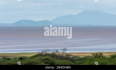 Nord De La Tanzanie, Lac Soda, Parc National Du Lac Manyara. La Tanzanie du Nord, le parc national d'Arusha, un ranger armé escorte un touriste. Banque D'Images