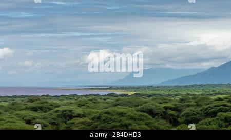 Nord De La Tanzanie, Lac Soda, Parc National Du Lac Manyara. La Tanzanie du Nord, le parc national d'Arusha, un ranger armé escorte un touriste. Banque D'Images