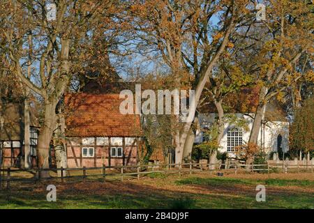 Vieux mur de cimetière avec la ville natale Irmintraut et Liebfrauenkirche en automne, Fischerhude, Basse-Saxe, Allemagne, Europe Banque D'Images