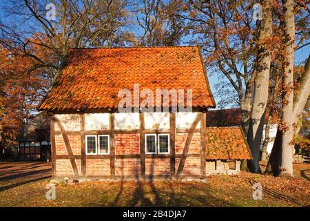 Heimathaus Irmintraut En Automne, Fischerhude, Basse-Saxe, Allemagne, Europe Banque D'Images