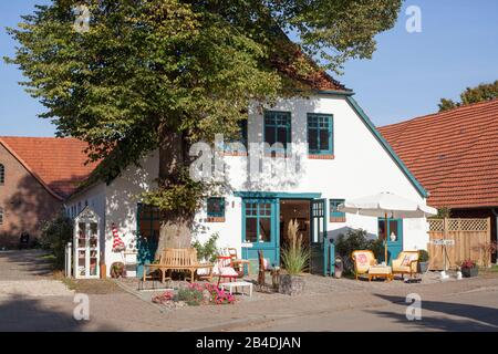 Maisons Anciennes, Fischerhude, Basse-Saxe, Allemagne, Europe Banque D'Images