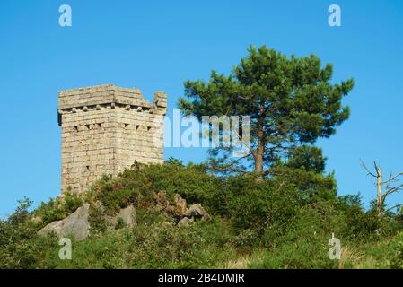 Ruine sur le mont Jizkibel à côté d'un pin noir (Pinus nigra) Sur Le Chemin de Saint-jacques près d'Hondarribia, Pays basque, Espagne Banque D'Images