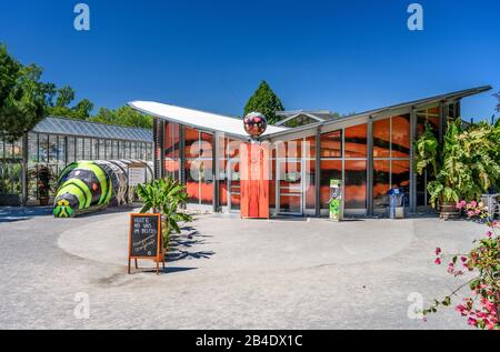 Allemagne, Bade-Wurtemberg, Bodensee, Konstanz, Insel Mainau, Schmetterlingshaus Banque D'Images