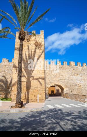 L'enceinte médiévale d'Alcudia, Alcudia, Majorque, Iles Baléares, Espagne, Europe Banque D'Images