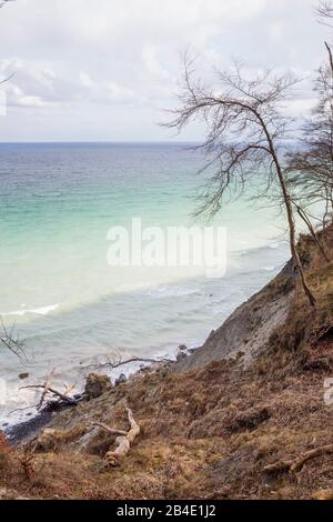 Europa, Dänemark, Møn, Blick auf die wilde Uferzone der Kreidefelsen von Møns Klint, Banque D'Images