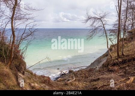 Europa, Dänemark, Møn, Blick auf die wilde Uferzone der Kreidefelsen von Møns Klint, Banque D'Images