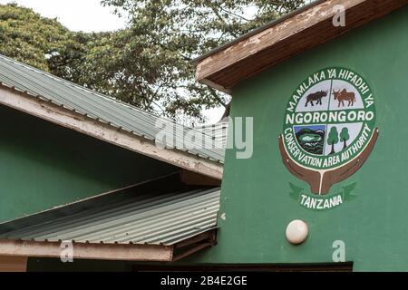 Un safari à pied, tente et jeep dans le nord de la Tanzanie à la fin de la saison des pluies en mai. Parcs Nationaux Serengeti, Cratère Ngorongoro, Tarangire, Arusha Et Le Lac Manyara. Entrée au cratère de Ngorongoro Banque D'Images