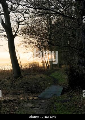 Als; Alsen; Insel; Landschaft; Dänemark Banque D'Images