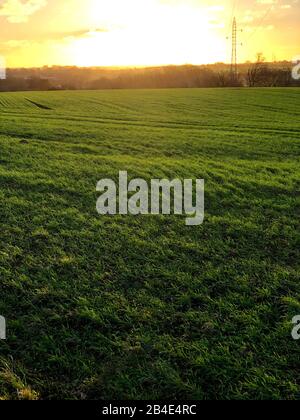 Feld; Als; Alsen; Insel; Landschaft; Dänemark Banque D'Images