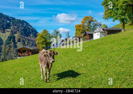 Gerstruben, ancien village agricole de montagne du Dietersbachtal près d'Oberstdorf, Alpes d'Allgäu, Allgäu, Bavière, Allemagne, Europe Banque D'Images