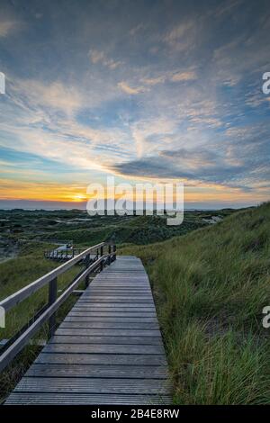 Europe, Mer Des Wadden, Mer Du Nord, Île De La Mer Du Nord, Allemagne, Frise Du Nord, Schleswig-Holstein, Amrum - Petite Île Grande Liberté Banque D'Images