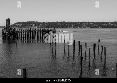 Rotten Pier et Pilages, South Puget Sound, Washington, États-Unis Banque D'Images