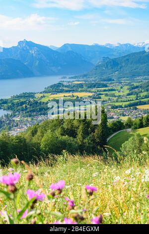 Altmünster, vue de montagne Gmunnerberg au lac Traunsee et aux villages Altmünster et Traunkirchen, maisons à Salzkammergut, Oberösterreich, Haute-Autriche, Autriche Banque D'Images