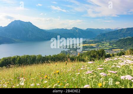 Altmünster, vue de montagne Gmunnerberg au lac Traunsee et aux villages Altmünster et Traunkirchen, maisons à Salzkammergut, Oberösterreich, Haute-Autriche, Autriche Banque D'Images