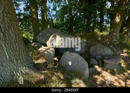 Tombes mégalithiques de la culture des béchers néolithiques à Lancken-Granitz sur Rügen, district de Vorpommern-Rügen, Mecklembourg-Poméranie-Occidentale, Allemagne Banque D'Images