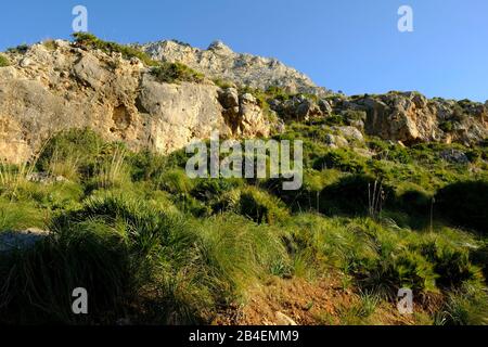 Paysage et falaises près de Betlem sur la péninsule de Llevant dans le parc naturel de Llevant, Majorque, Iles Baléares, Espagne Banque D'Images