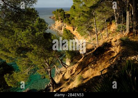 Paysage et falaises près de Betlem sur la péninsule de Llevant dans le parc naturel de Llevant, Majorque, Iles Baléares, Espagne Banque D'Images