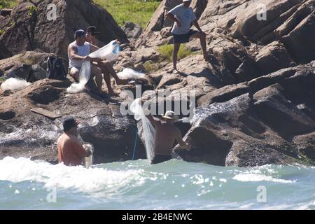 Pêcheurs De L'Armação, Pêche, Florianópolis, Santa Catarina, Brésil Banque D'Images