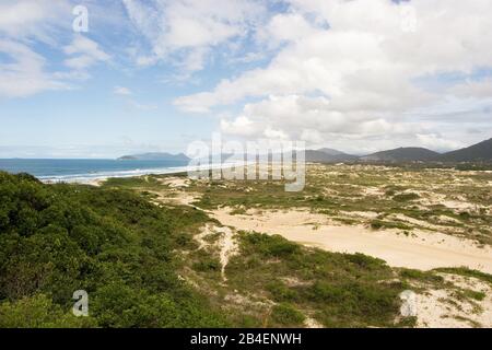 Dunes dans la plage de Joaquina, Florianópolis, Santa Catarina, Brésil Banque D'Images