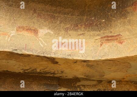 Dessins de la faune des San Bushmen sur des rochers de grès près de la porte du parc royal Natal dans le Drakensberg. Banque D'Images