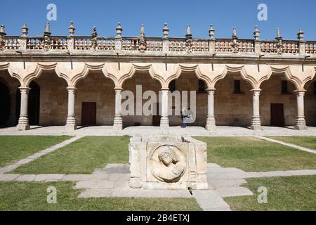 Cour, Patio De Escuelas Menores, Université De Salamanque, Salamanque, Castilla Y Leon, Castille-León, Espagne, Europe Banque D'Images