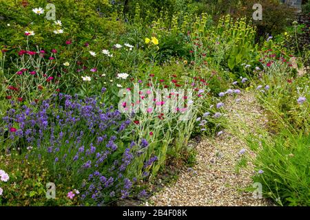 Un sentier de jardin de gravier entre des lits de fleurs mixtes. Banque D'Images