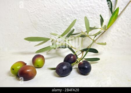 Olives vertes et noires Banque D'Images