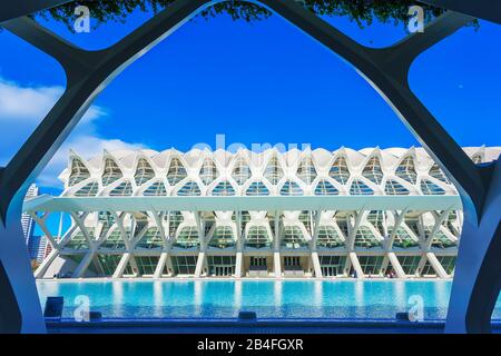 Musée des sciences Principe Felipe, Cité des Arts et des Sciences, Valence, Espagne, Europe Banque D'Images