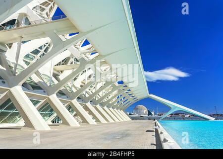 Musée des sciences Principe Felipe, Cité des Arts et des Sciences, Valence, Espagne, Europe Banque D'Images