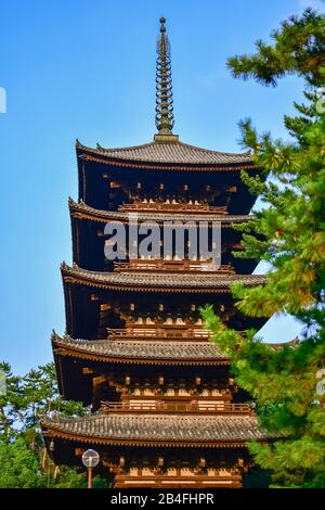 Kohfukuji Cinq Pagode Étagée, Temple Kohfukuji, Parc Nara, Nara, Honshu, Japon Banque D'Images