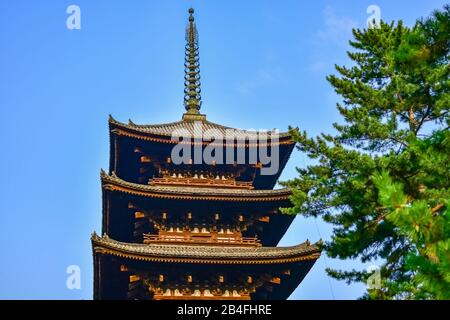 Kohfukuji Cinq Pagode Étagée, Temple Kohfukuji, Parc Nara, Nara, Honshu, Japon Banque D'Images