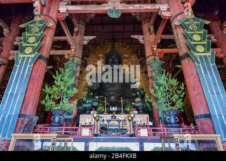 Statue De Bouddha (Daibutsu), Salle Daibutsuden, Temple Todaiji, Nara, Japon Banque D'Images