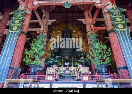 Statue De Bouddha (Daibutsu), Salle Daibutsuden, Temple Todaiji, Nara, Japon Banque D'Images