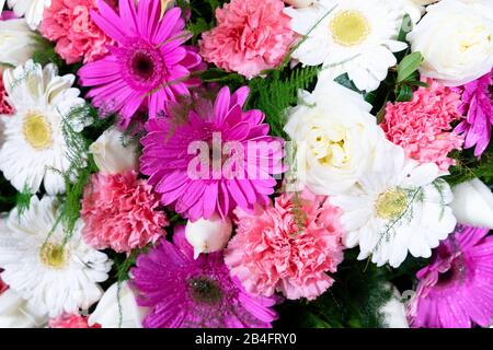 Télévision fleurs composition laïcs Banque D'Images