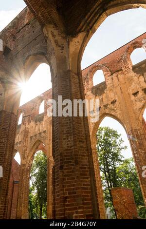 Estonie, Tartu, Domberg, cathédrale, ruine Banque D'Images