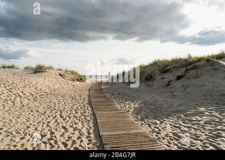 Estonie, Pärnu, capitale de l'été, plage de la ville, chemin du bois Banque D'Images