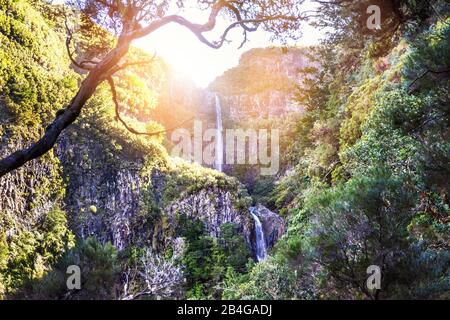 Europe, Portugal, Madère, plateau Paúl da Serra, Rabacal, Levada do Risco, PR6.1, cascade de Risco Banque D'Images