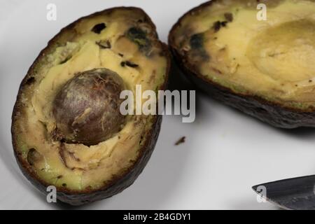 Avocat gros plan pourri et cuisine gâtée. Coupez l'avocat mûr ouvert avec des taches noires et de la moisissure. Gros plan sur la nourriture moisie. Banque D'Images
