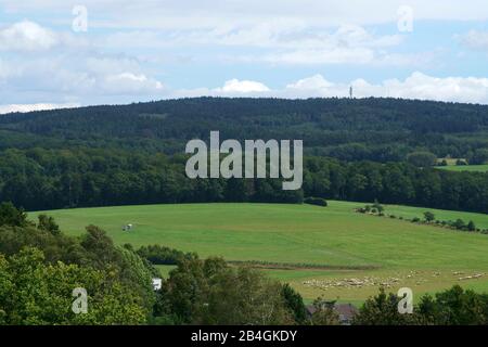 Des moutons bragnent dans une vallée de Taunusstein avec des montagnes des montagnes de Taunus en arrière-plan. Banque D'Images