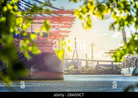 Allemagne, Hambourg, Elbe, port, port de Waltershofer, chargement de conteneurs, Köhlbrandbrücke, navire à conteneurs Banque D'Images