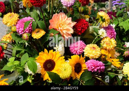 Europe, Allemagne, Bavière, Ville de Munich, Ville, Viktualienmarkt, arrangements floraux à la fontaine Karl Valentin Banque D'Images