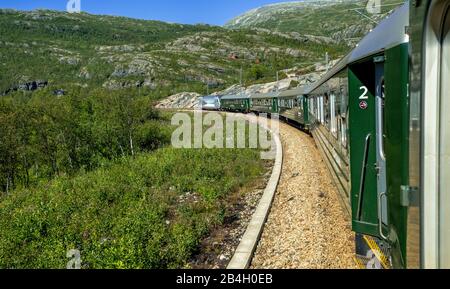 Flamsbahn dans les montagnes, près de Fureberget, arbres, ciel, Flåm, Sogn og Fjordane, Norvège, Scandinavie, Europe Banque D'Images