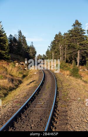 Vue sur la voie du chemin de fer Brocken dans les montagnes Harz, Schierke, Saxe-Anhalt, Allemagne. Banque D'Images