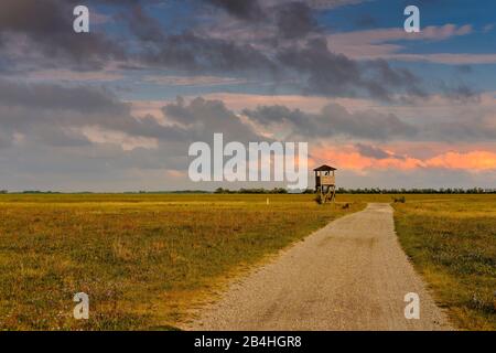 Tempête sur le Langer Lacke et Wörthenlacke à Apetlon dans le Parc National Neusiedler See, Burgenland, Autriche Banque D'Images