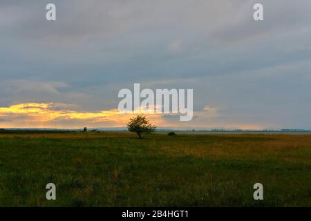 Tempête sur le Langer Lacke et Wörthenlacke à Apetlon dans le Parc National Neusiedler See, Burgenland, Autriche Banque D'Images